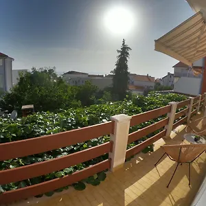 Mima Zadar